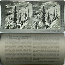 Keystone Stereoview Horses, Trail in Glacier Nat Park,MT 600/1200 Card Set #1105 picture