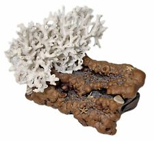 Mounted Coral on Burl Wood Sculpture Figurine Display Vtg Mike Berry 1982 picture