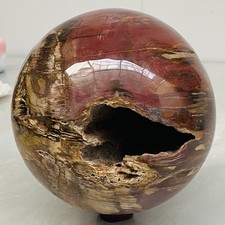 Natural Petrified Wood Polished Stone Quartz Crystal Sphere Ball Healing 5640G picture