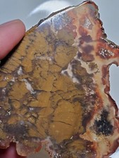 Nepomo Nipomo Marcasite In Agate Polished Slab 36g California Lapidary Gemstone picture