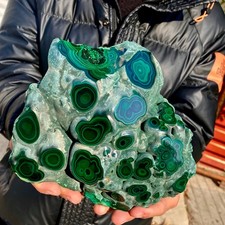 3.9LB Natural tortoise Malachite  cluster coarse mineral sample picture