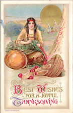 C.1910 Schmucker Winsch Thanksgiving Native Woman Preparing Turkey Postcard 461b picture
