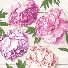 (2) TWO Floral Decoupage Paper Napkins - PINK PEONIES FLOWERS SUMMER picture