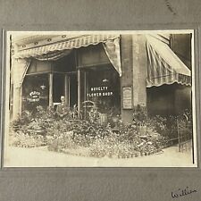 Antique Cabinet Card Photograph Flower Shop ID William Rich Philadelphia PA picture