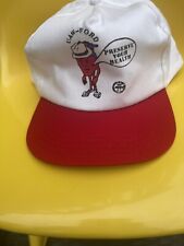 Vintage UAW Ford Preserve Your Health cap hat snap back Union Made In the USA picture