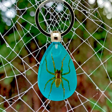 Handmade Real Brown Spider in Blue Resin Keychain – Taxidermy Gift picture