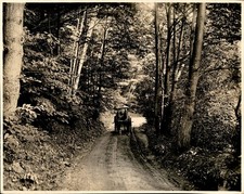 GA180 Original Underwood Photo WOODLAND DRIVE Horsedrawn Carriage on Forest Path picture