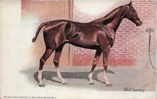Phoenix Horse Shoe Company Advertising Race Thoroughbred McChesney Postcard 25A picture
