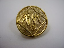 Vintage AHA American Hospital Association XIII 13 Award Lapel Pin Gold Tone picture