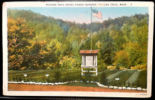 Vintage Postcard 1925 Model Forest Nursery, Mohawk Trail, Massachusetts (MA) picture