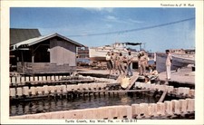 Key West Florida Turtle Crawls c1950-60s Vintage Postcard picture