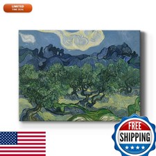 Renditions Gallery Olive Trees by Vincent Van Gogh Canvas Print 30x40 in Ready picture