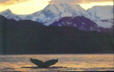 Glacier Bay, Alaska picture