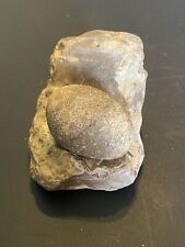 Native American Grinding Stone With Pestle 1600,s picture