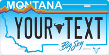 State License Plate Personalized With Your Text Car Novelty Plate Custom 200+ picture