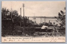 Cape Fear River Wilmington N.C. North Carolina Rotograph UDB Postcard R15 picture