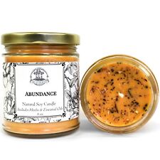 Abundance Soy Candle for Money Love Prosperity Success Spell Wiccan Pagan Hoodoo picture