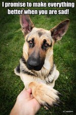 German shepherd refrigerator magnet 2 1/2x 3 1/2