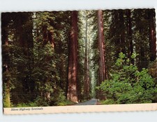 Postcard Silent Highway Sentinels Giants of The Redwood Highway California USA picture