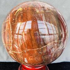 Natural Wood Fossil Decoration Polished Wood Grain Fossil Decor Crystal 4.96LB picture