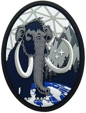 USSF/USAF PVC SOD picture