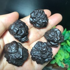 107g 5pcs Limonite & Hematite pseudomorph after Marcasite - Prophecy Stone 136 picture