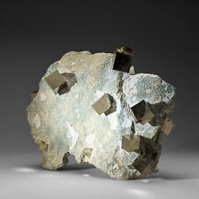Genuine Pyrite Cubes on Basalt From Navajun, Spain (13 lbs) picture