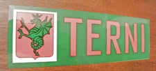Sticker TERNI UMBRIA TR TERNANA GREEN WINGED DRAGON IN RED FIELD sticker VINTAGE picture