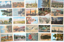 Vintage Postcard LOT 25 Desert Old Views Cactus Giant Saguaro Cacti CA NM AZ picture