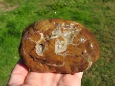 Banded RHYOLITE Beach, River Rock MARBLED, Fortified Agate Banding RARE 2lbs+ picture