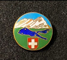 LAKE CONSTANCE Vintage Pin Badge Bodensee SWITZERLAND Alps Resort Souvenir picture