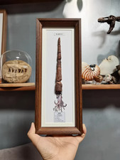 Extra-Long Orthoceras Fossil Display Frame, Straight Cephalopod picture