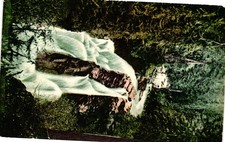 Vintage Postcard- Water Falls in a Forest picture