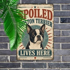 Spoiled Boston Terrier Dog Tin Sign Cute Puppy Lounge Metal Plaque picture