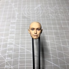 Painted 1/18 1/12 1/10 Elizabeth Olsen Wanda Head Sculpt fit 3.75