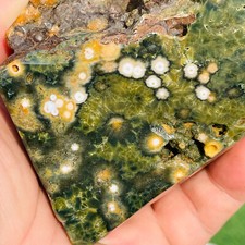 453g Rare Natural Orbicular Ocean Jasper Crystal Rough Healing picture