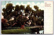 1901 Washington Oak Audubon Park New Orleans Louisiana Grounds Posted Postcard picture