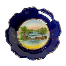 STROUDSBURG Pennsylvania PA ANTIQUE FALLS Souvenir China TRINKET COBALT DISH  picture