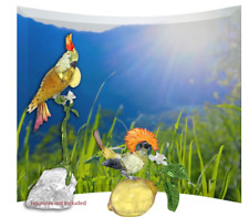 Swarovski Scs Bird  Flower Crystal display large pre-order picture