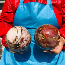 2pcs 6.29LB Large Natural Petrified Wood Crystal Fossil ball Specimen Healing picture