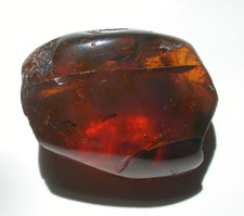 Beautiful Cherry RED Burmese Amber Fossil with Insects Dinosaur Age Large 9.4 g picture