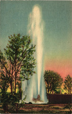 NEW MEXICO Oasis Ranch Largest Artesian Well near Roswell Vintage NM Postcard picture