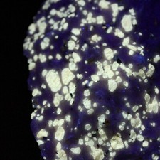 FLUOBORITE. A VERY RARE FLUORESCENT  FROM RUDEVILLE N.J. NICE DISPLAY PC. #3091 picture