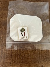 Vtg Aspen Ski School Leaf Snowflake Logo Enamel Lapel Pin White Gold picture
