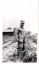 Poor Sad Farmer Tending to His Destroyed Crops ~ 1940s Vintage Photograph picture