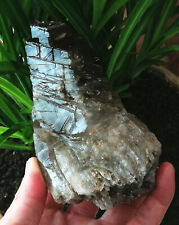 1.41LB Big Amazing Ghost Quartz Natural Mystical Cutted Marked By Nature Forces picture