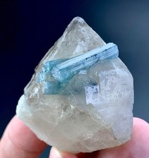 340 Carat Blue Tourmaline Crystal Specimen From Afghanistan picture