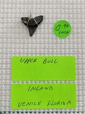 FOSSILIZED 0.99 INCH UPPER BULL SHARK TOOTH PENDANT picture