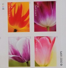 2023 Tulip Blossoms Book Of 20 Stamps picture