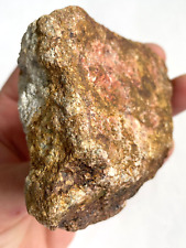 8.43 OUNCES HIGH GRADE FINE GOLD ORE from California Raw Specimen 238.92 Grams picture